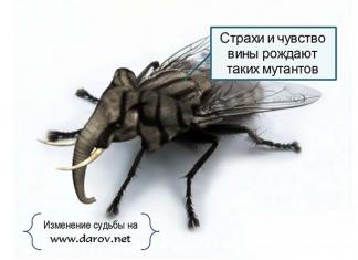 При каких обстоятельствах происходят изменения судьбы